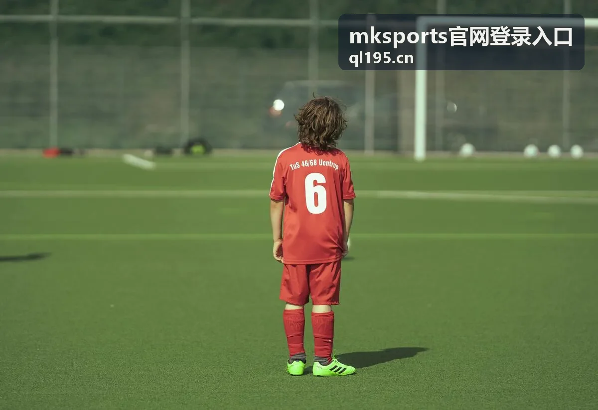mksports官网登录入口 账号安全验证失败提示信息解读